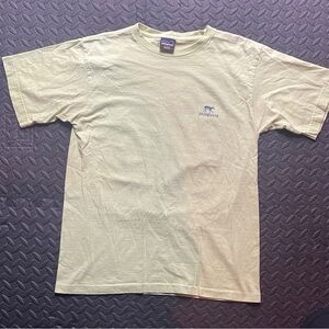 Patagonia Light Green Short Sleeve Tee